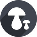 Mogu China VPN, 蘑菇国内梯子