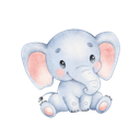 Daxiang China VPN, 象国内梯子