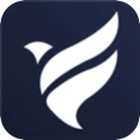 Feiniao China VPN, 翱翔的鸟儿国内梯子